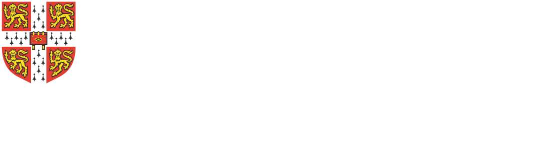 Logo Cambridge International School